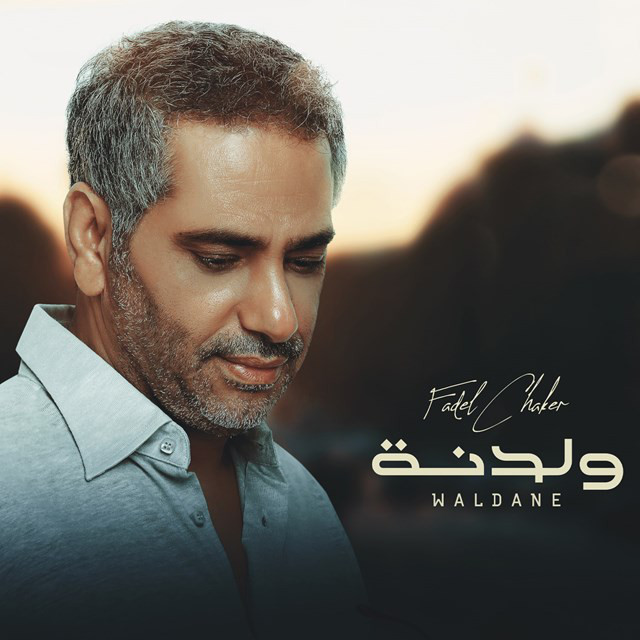 کاور آهنگ Waldane از Fadel Chaker