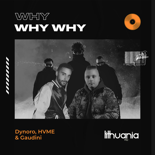 کاور آهنگ Why Why Why از Dynoro, HVME, Gaudini