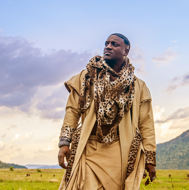 کاور آهنگ Enjoy That - Remix از Akon, Mr Brown