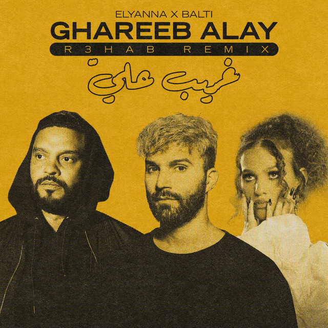 کاور آهنگ Ghareeb Alay - R3HAB Remix از R3HAB, Elyanna, Balti