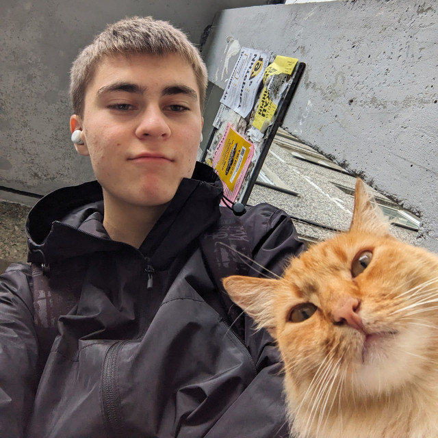 User Avatar