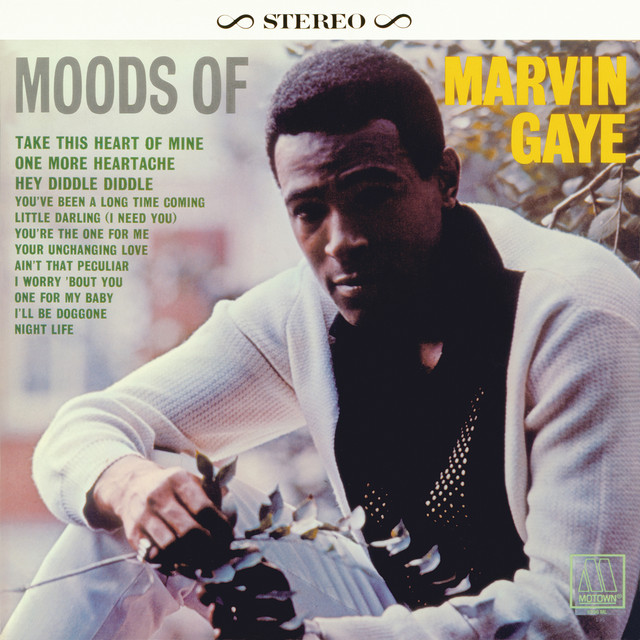 کاور آهنگ Night Life از Marvin Gaye