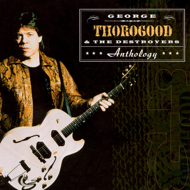 کاور آهنگ Bad To The Bone از George Thorogood & The Destroyers