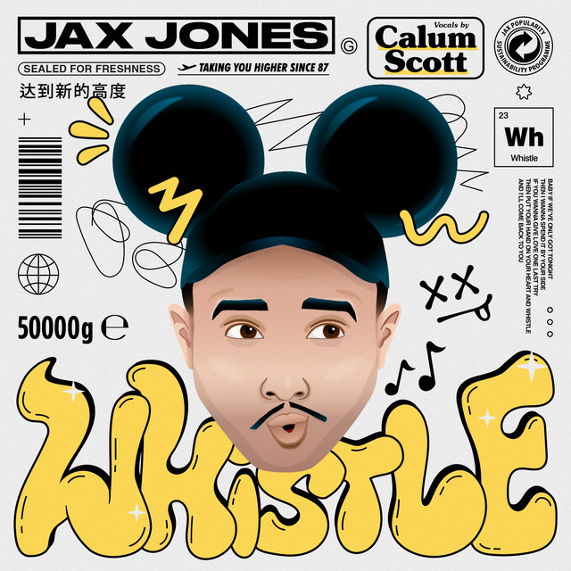 کاور آهنگ Whistle - Instrumental از Calum Scott, Jax Jones