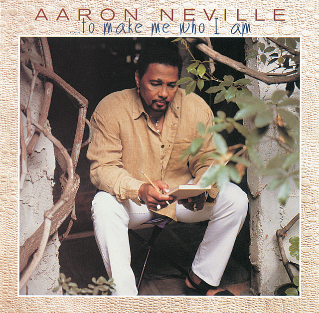 کاور آهنگ What Did I Do (To Deserve You) از Aaron Neville