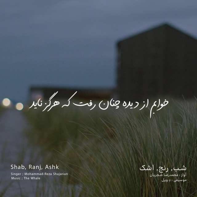 کاور آهنگ شب، رنج، اشک - بازآفرینی اثر محمدرضا شجریان از دِ وِیل