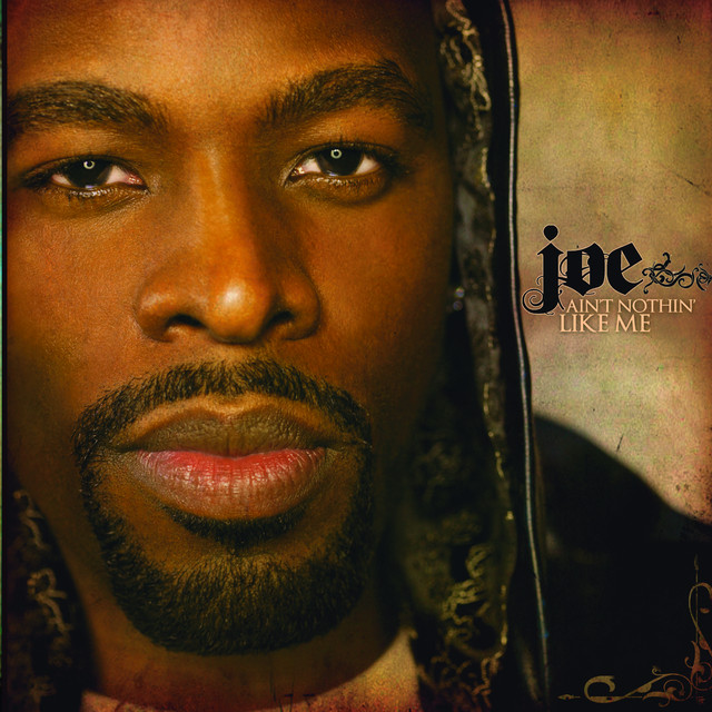 کاور آهنگ Feel For You از Joe