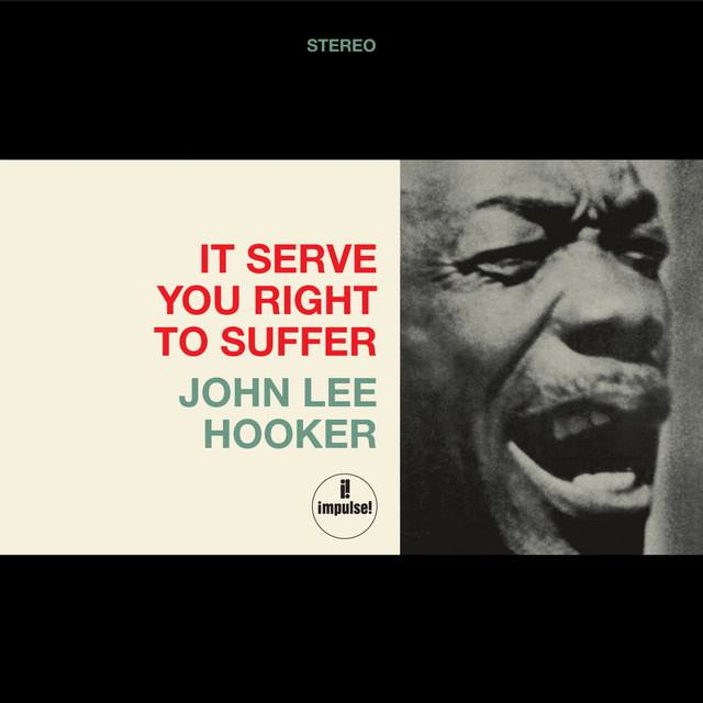 کاور آهنگ Decoration Day - 2025 Remaster از John Lee Hooker