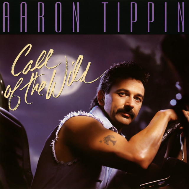کاور آهنگ I Promised You the World از Aaron Tippin