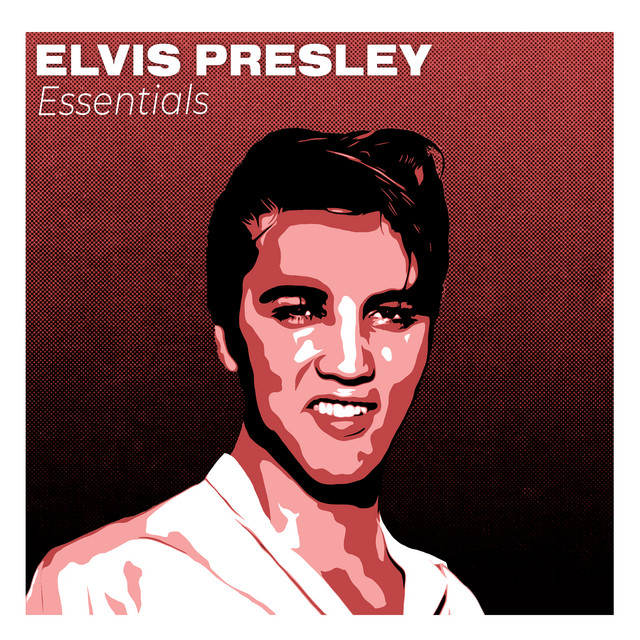 کاور آهنگ One Night از Elvis Presley