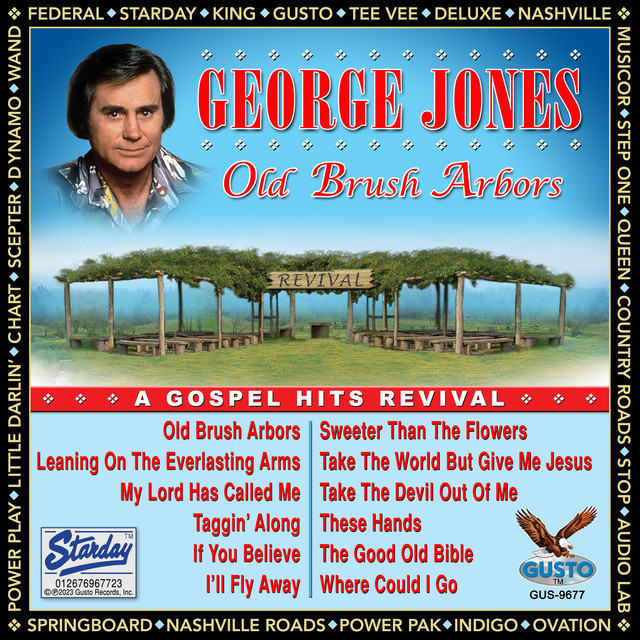 کاور آهنگ I'll Fly Away - Original Musicor Records Recording از George Jones
