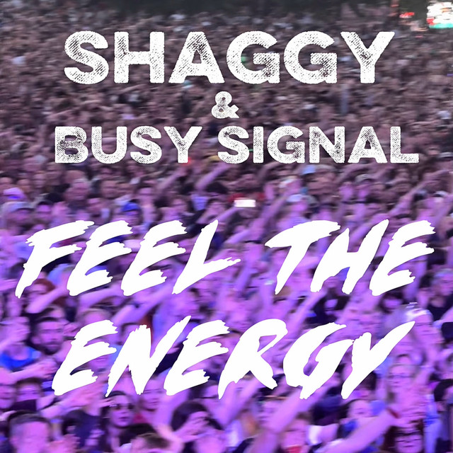 کاور آهنگ Feel The Energy از Shaggy, Busy Signal