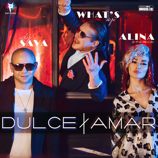 کاور آهنگ Dulce Amar از Dj Sava