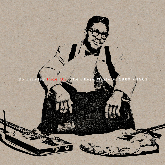 کاور آهنگ Whoa Mule (Shine) از Bo Diddley