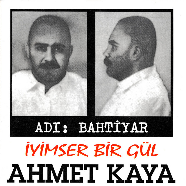 کاور آهنگ Kardelenler Açınca از Ahmet Kaya