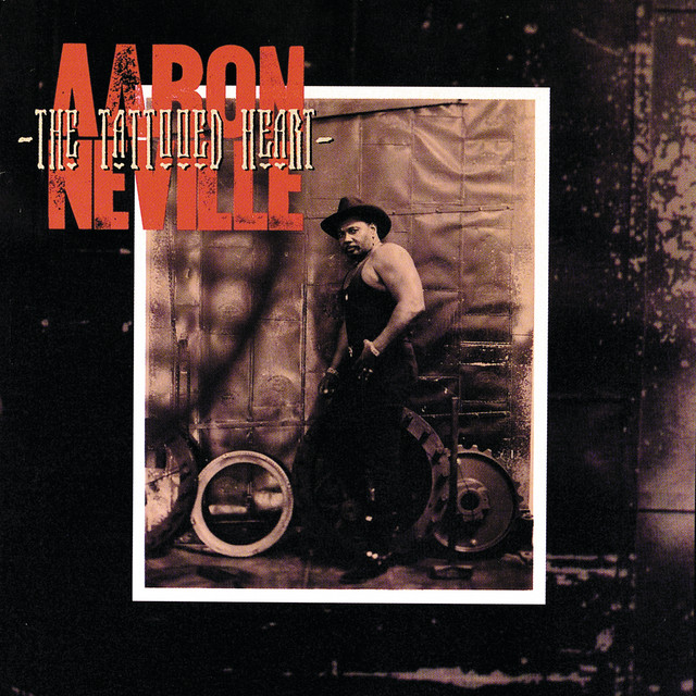 کاور آهنگ My Precious Star از Aaron Neville