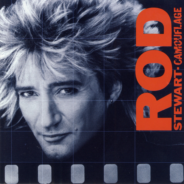 کاور آهنگ Camouflage - 2008 Remaster از Rod Stewart