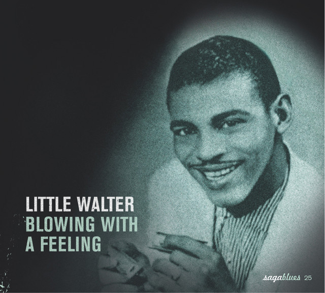 کاور آهنگ Tell Me Mama از Little Walter