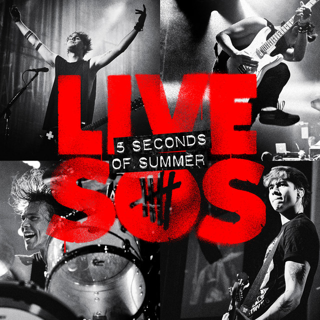 کاور آهنگ Amnesia - Live از 5 Seconds of Summer