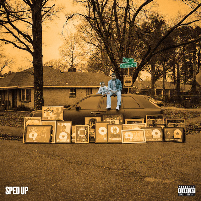 کاور آهنگ DOPE از NLE Choppa, Fivio Foreign