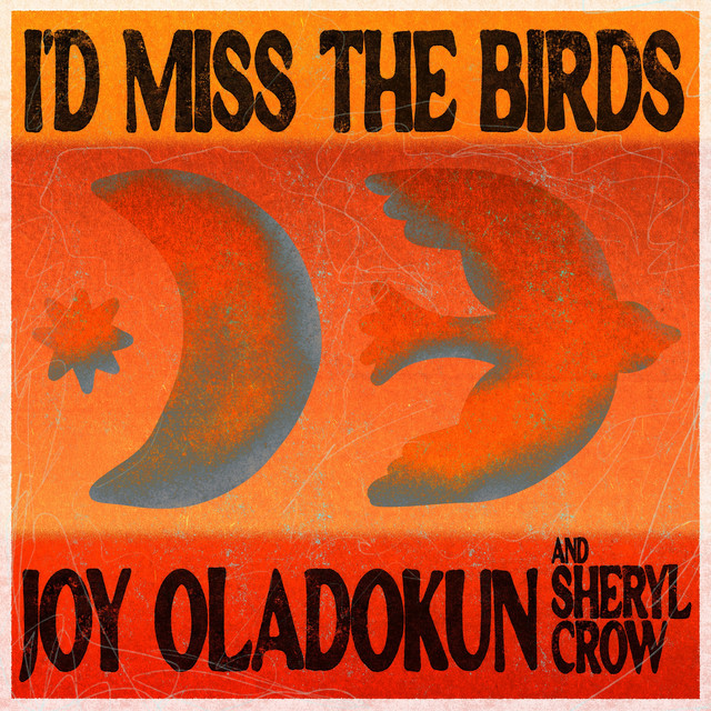 کاور آهنگ I'd Miss the Birds (feat. Sheryl Crow) از Sheryl Crow