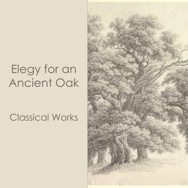 کاور آهنگ Myrthen, Op. 25: No. 24, Du bist wie eine Blume (Arr. Godowsky) از Johann Sebastian Bach, Frederic Chopin, Pyotr Ilyich Tchaikovsky, George Frideric Handel, Franz Schubert, Robert Schumann, Ludwig van Beethoven, Claude Debussy, Johannes Brahms, Antonio Vivaldi, Felix Mendelssohn, Angela Hewitt