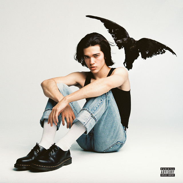 کاور آهنگ Checkmate از Conan Gray