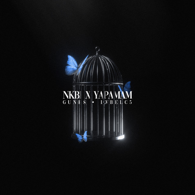 کاور آهنگ NKBI X YAPAMAM - Remix از Lvbel C5, Gunes