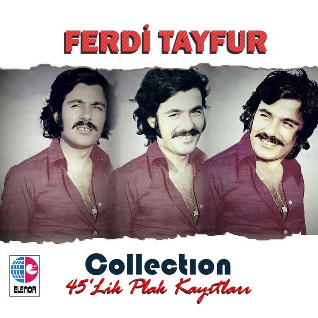 کاور آهنگ Vazgeç Felek از Ferdi Tayfur