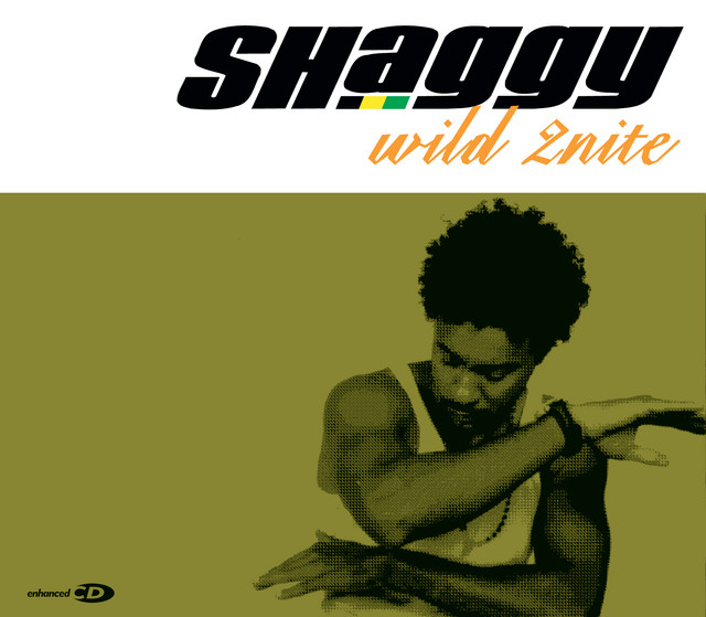کاور آهنگ Wild 2Nite - Wild West Mix از Shaggy, Olivia