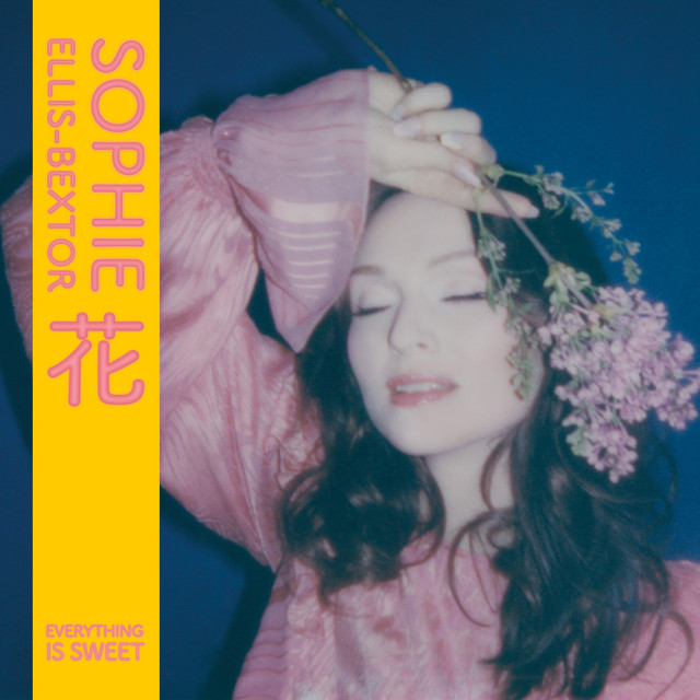 کاور آهنگ Breaking the Circle از Sophie Ellis-Bextor