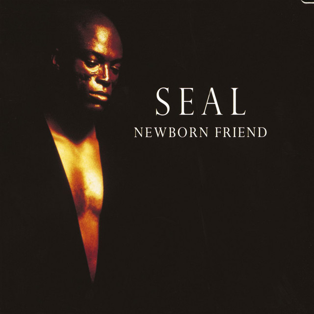 کاور آهنگ Newborn Friend - The Silver Mix از Seal