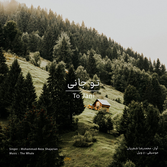 کاور آهنگ تو جانی - بازآفرینی اثر محمدرضا شجریان از دِ وِیل