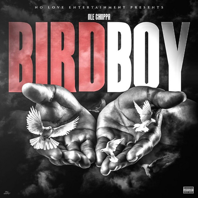 کاور آهنگ BIRDBOY از NLE Choppa