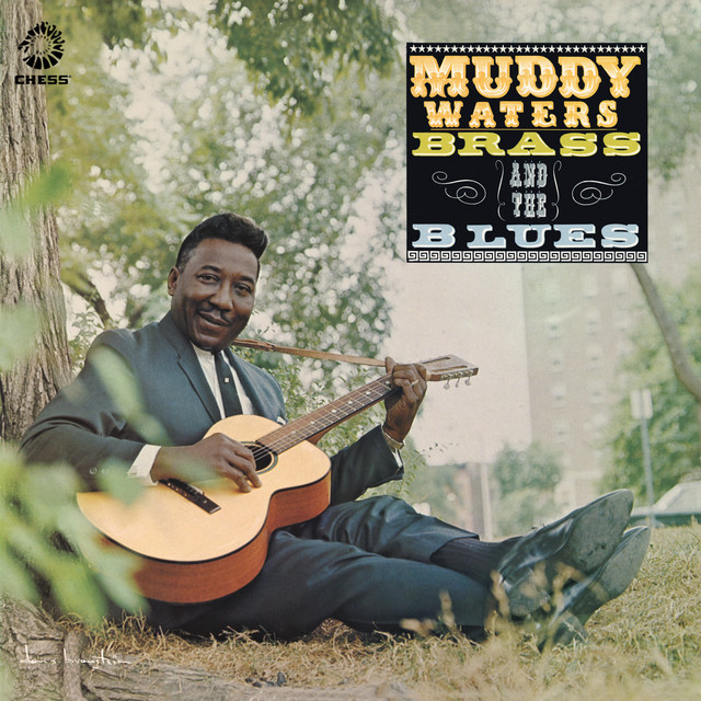 کاور آهنگ Black Night از Muddy Waters