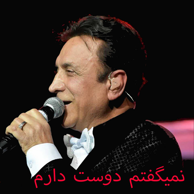 کاور آهنگ نمی‌گفتم دوستت دارم از حسن شماعی زاده