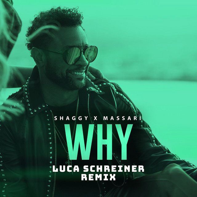 کاور آهنگ Why - Luca Schreiner Remix از Massari, Shaggy, Luca Schreiner