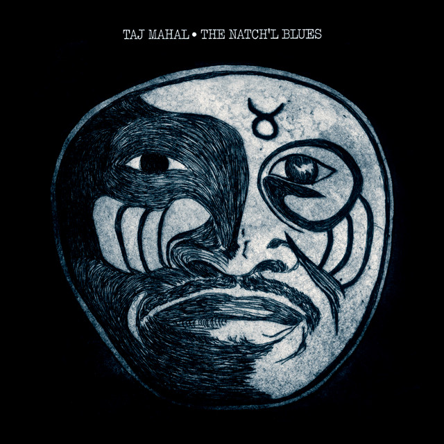 کاور آهنگ Going up to the Country, Paint My Mailbox Blue از Taj Mahal