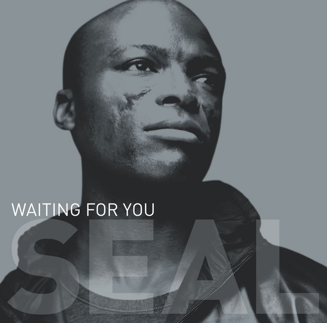 کاور آهنگ Waiting for You - Machinehead Remix از Seal, Machine Head