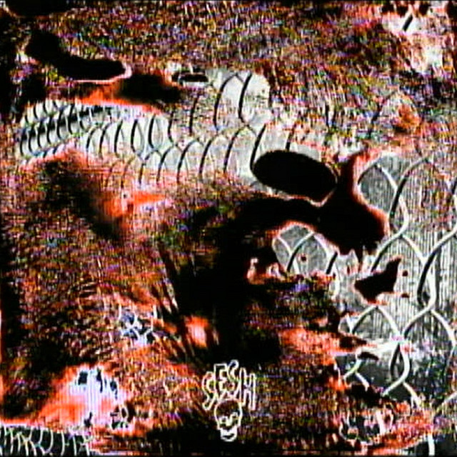 کاور آهنگ lock-on از BONES