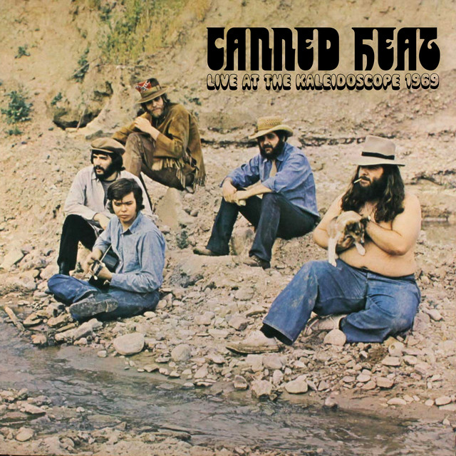 کاور آهنگ Wish You Would - Live از Canned Heat