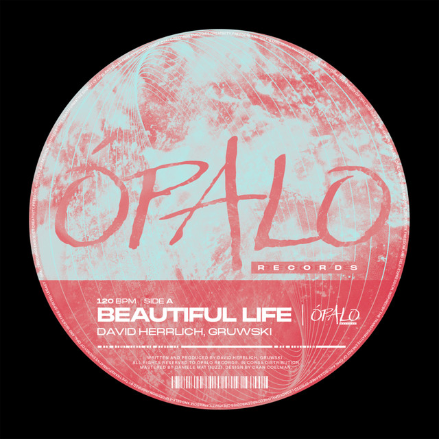 کاور آهنگ Beautiful Life از Gruwski