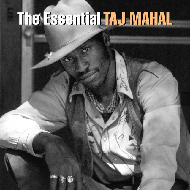 کاور آهنگ Take a Giant Step - 1969 Version از Taj Mahal