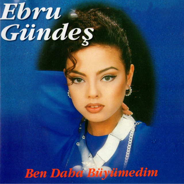 کاور آهنگ Firtinalar از Ebru Gundes