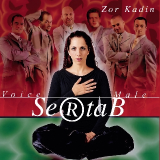 کاور آهنگ Zor Kadın از Sertab Erener, Voice Male