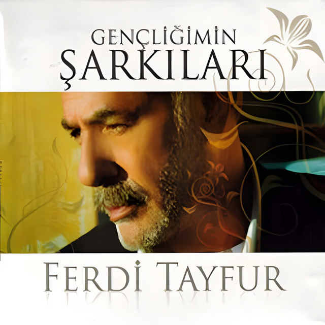 کاور آهنگ Köylü Güzeli از Ferdi Tayfur