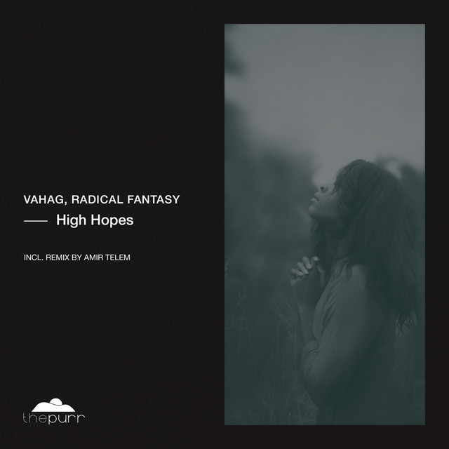 کاور آهنگ High Hopes - Amir Telem Remix از Vahag