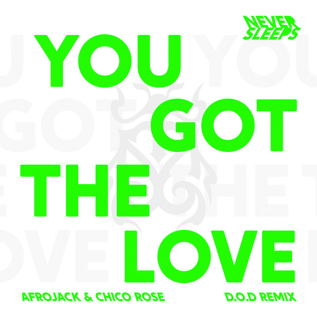 کاور آهنگ You Got The Love - D.O.D Remix Extended Mix از AFROJACK, Chico Rose, D.O.D