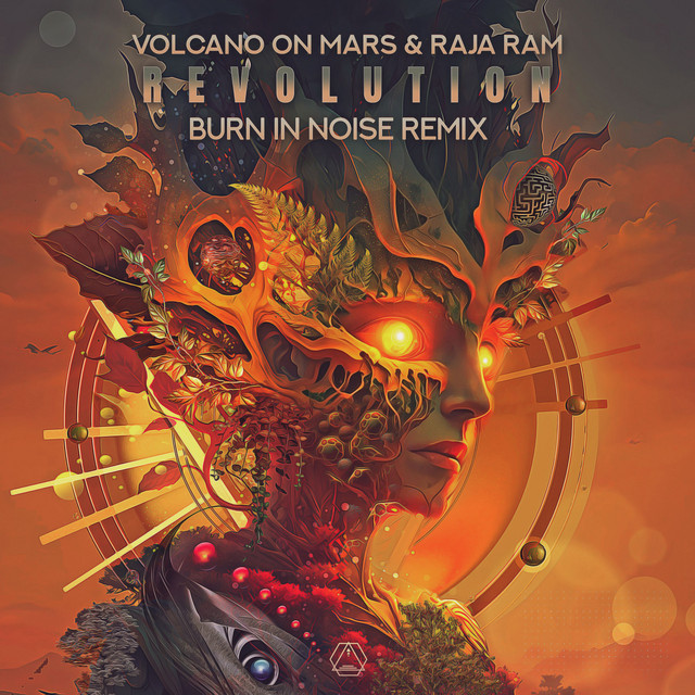 کاور آهنگ Revolution - Burn In Noise Remix از Volcano On Mars
