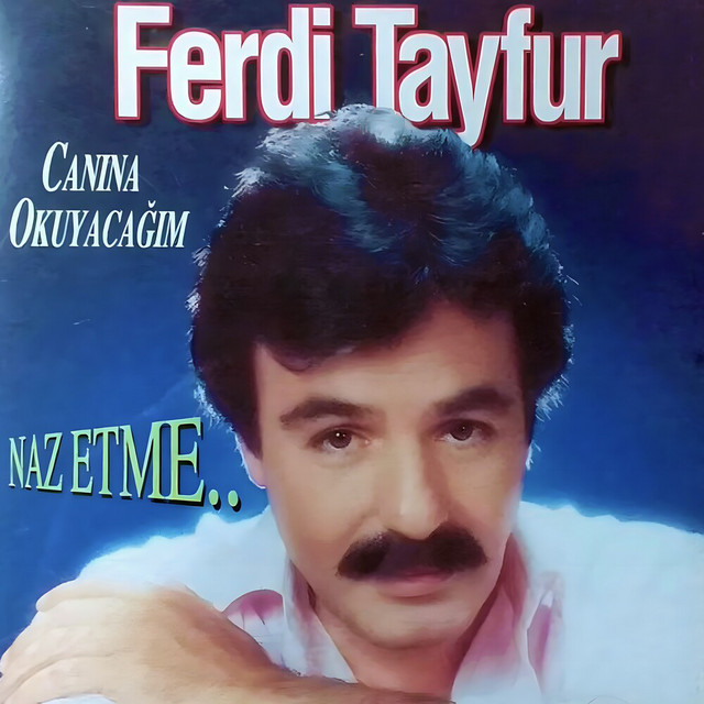 کاور آهنگ Sevdiğim از Ferdi Tayfur